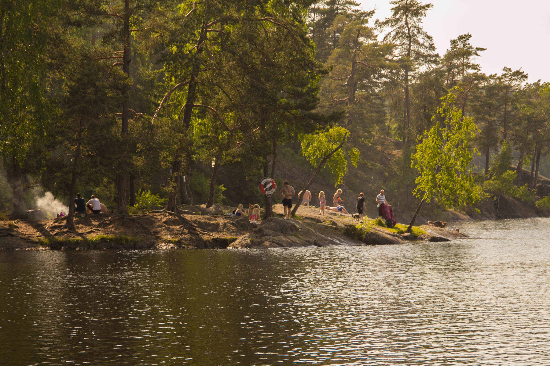 Gömmaren naturreservat och bad. | Trippa