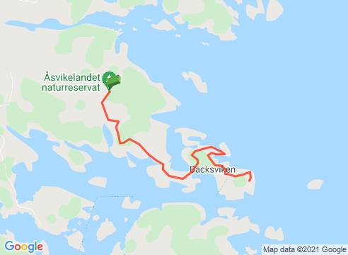 Vandring genom Åsvikelandet och Torrö naturreservat
