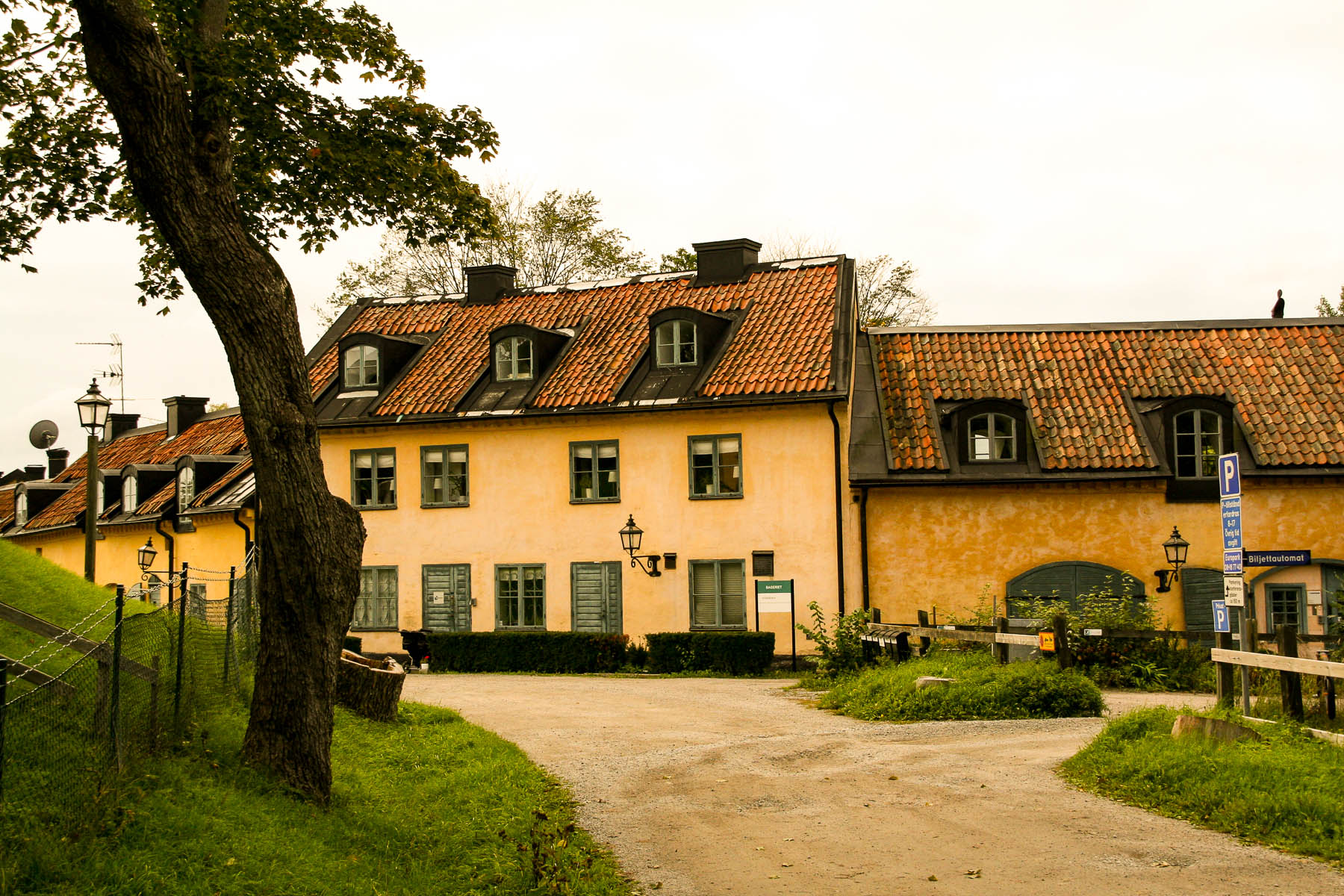 uthusen-trippa