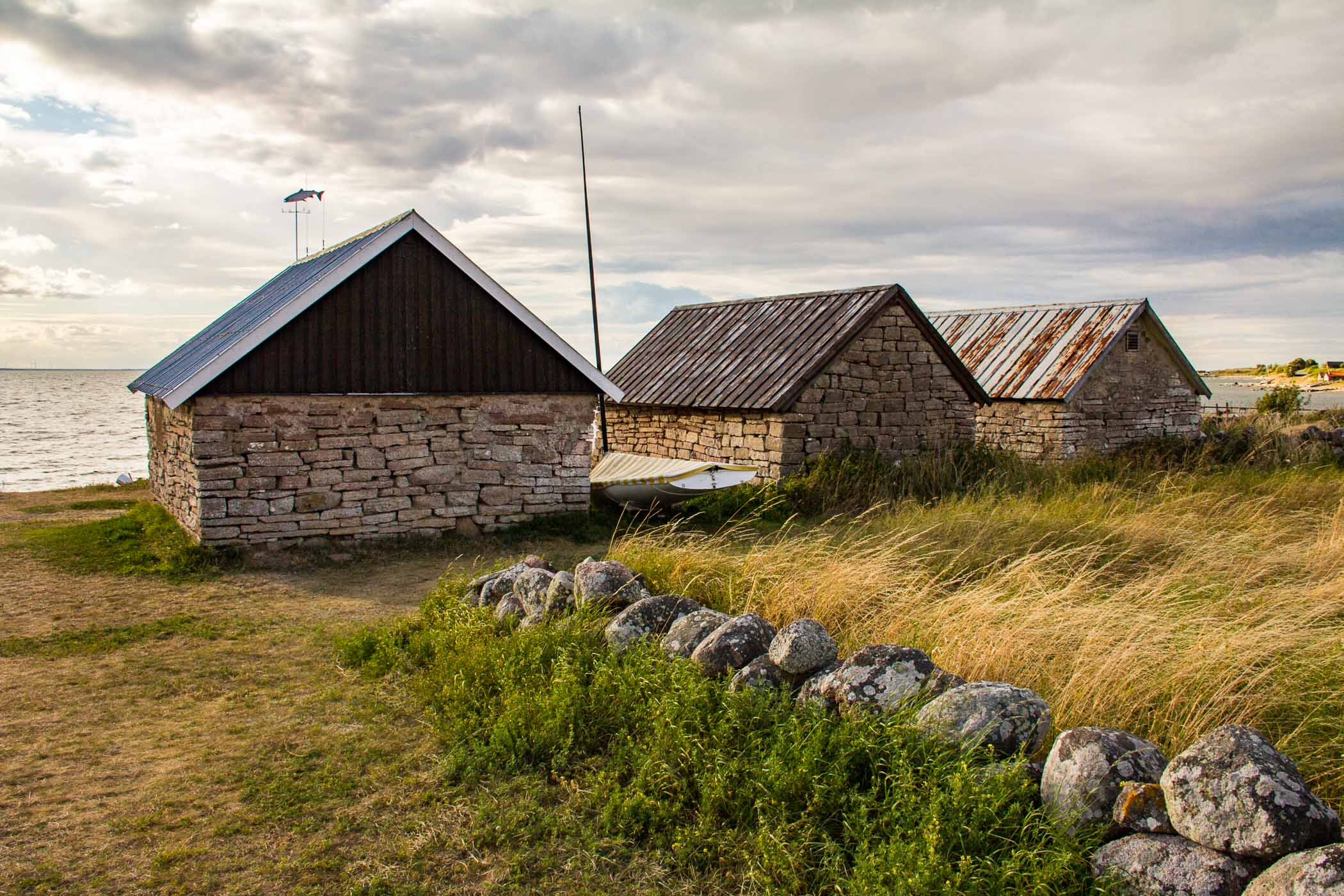 Kaplumbağalardan Aprel ONil bilan porno